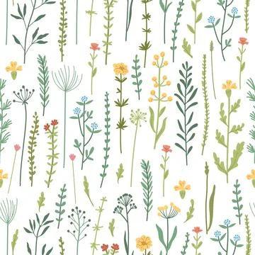 Seamless floral pattern with hand drawn plants, leaves, wild flowers. Stock Illustration