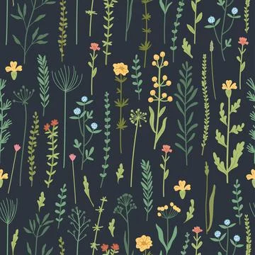Seamless floral pattern with hand drawn plants, leaves, wild flowers. Stock Illustration