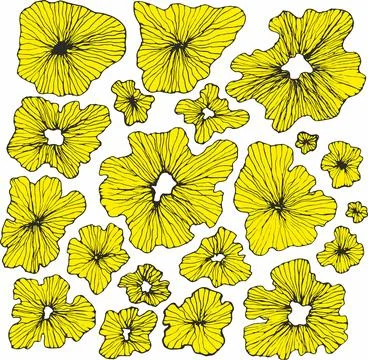 Seamless floral pattern with hand drawn flower garden elements on an isolated イラスト素材