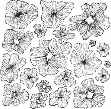 Seamless floral pattern with hand drawn flower garden elements on an isolated Stock Illustration