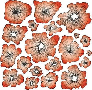 Seamless floral pattern with hand drawn flower garden elements on an isolated Stock Illustration
