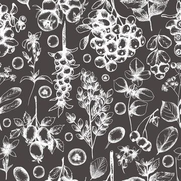 Seamless floral pattern with herbs and berries. Vintage botanical backgroun.. Stock Illustration