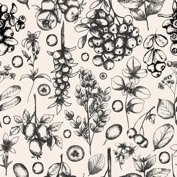 Seamless floral pattern with herbs and berries. Vintage botanical backgroun.. Stock Illustration