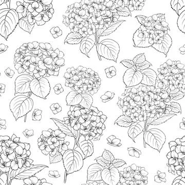 Seamless floral pattern with Hydrangea. Vector illustration. Stock Illustration