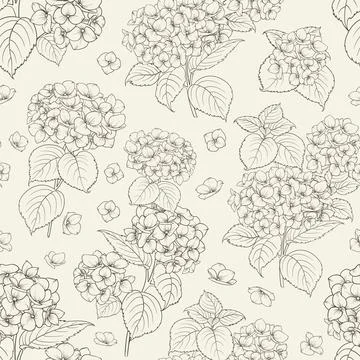 Seamless floral pattern with Hydrangea. Vector illustration. Stock Illustration