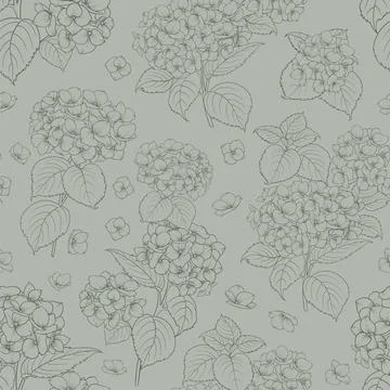 Seamless floral pattern with Hydrangea. Vector illustration. Stock Illustration