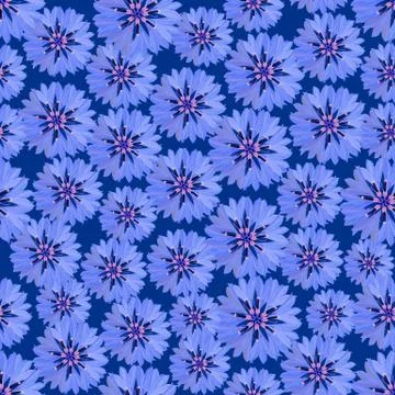 Seamless floral pattern Stock Illustration