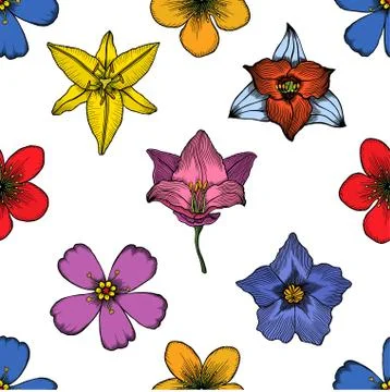 Seamless floral pattern. Illustrazione stock