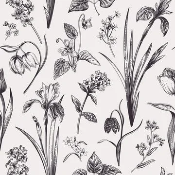 Seamless floral pattern. Illustrazione stock
