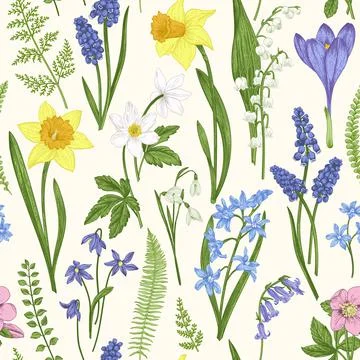 Seamless floral pattern. Illustrazione stock