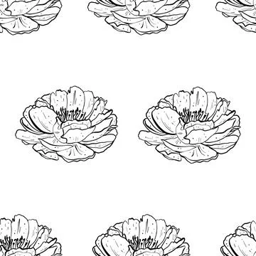 Seamless floral pattern. Stock Illustration