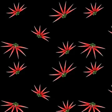 Seamless floral pattern illustration. Endless texture with small red flowers on Stock Illustration