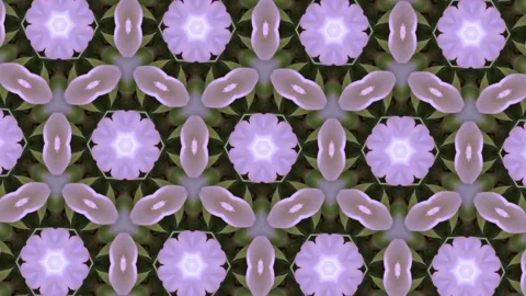 Seamless floral pattern loop transition for video editing Stock Footage 340003557