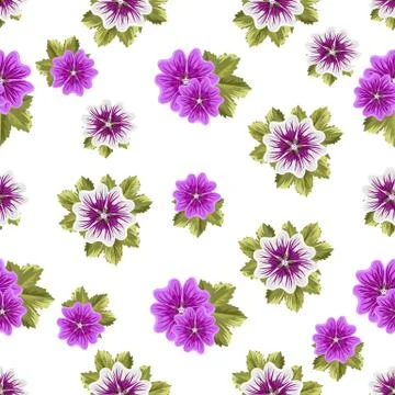 Seamless floral pattern with mallows Stock Illustration