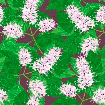 	Seamless floral pattern with patchouli Pogostemon cablini . Stock Illustration