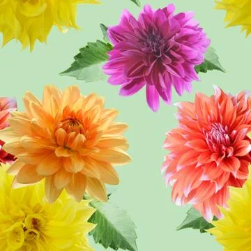 Seamless floral pattern Stock Photos