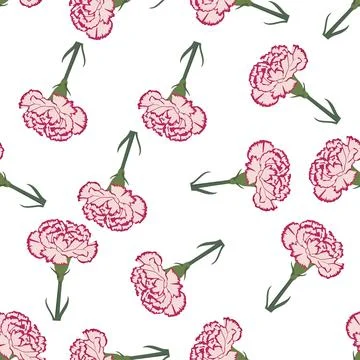 Seamless floral pattern with pink carnation flowers on a white background. 스톡 일러스트