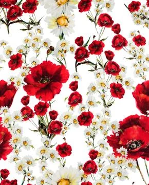 Seamless floral pattern with of red flowers and white daisy on white background. Stock Illustration