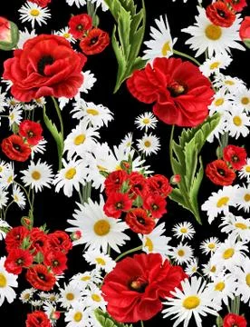 Seamless floral pattern with red flowers and white daisy on black background. Re Stock Illustration