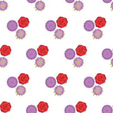 Seamless floral pattern with red roses and purple asters on white background. Illustrazione stock