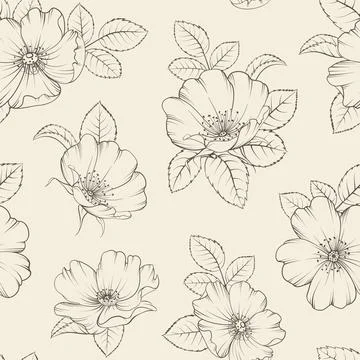 Seamless floral pattern with Rose. Botanical rosehip Stock Illustration