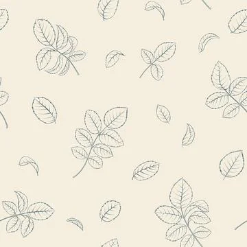 Seamless floral pattern with Rose. Botanical rosehip Stock Illustration