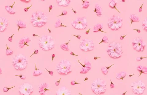 Seamless floral pattern of sakura cherry flowers floral Stock Photos