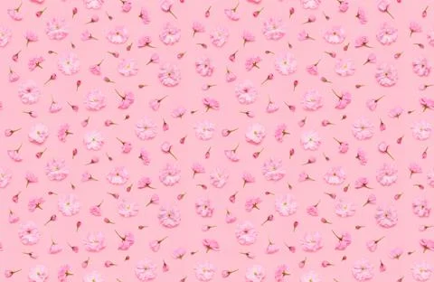 Seamless floral pattern of sakura cherry flowers Stock Photos