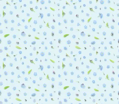 Seamless floral pattern of spring forget-me-not flowers buds and leaves Stock Photos