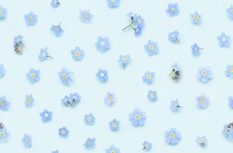 Seamless floral pattern of spring forget-me-not flowers on blue background Foto stock