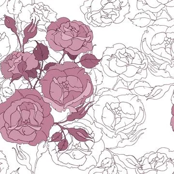 Seamless floral pattern with tender pink roses on white background. Drawing Stock Illustration