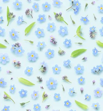 Seamless floral pattern of tiny blue spring forget-me-not flowers Stock Photos