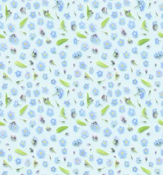 Seamless floral pattern of tiny blue spring forget-me-not flowers Stock Photos
