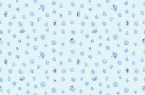 Seamless floral pattern of tiny spring forget-me-not flowers on blue Stock Photos