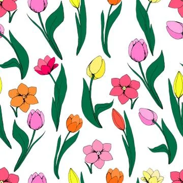 Seamless floral pattern with tulips on white background. Stock Illustration