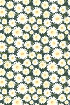 Seamless floral pattern of white daisies on a dark green background Stock Illustration