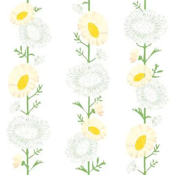Seamless floral pattern of white daisies and green leaves Stock Illustration