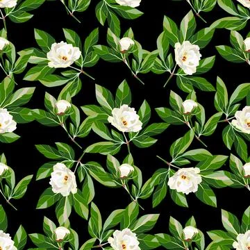 Seamless floral pattern with white peonies Stock Illustration
