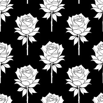 Seamless floral pattern white roses on a black background, texture, design Stock Illustration