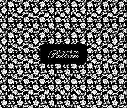 Seamless Floral Pattern of White Roses and Leaves on Black Background Stock Illustration