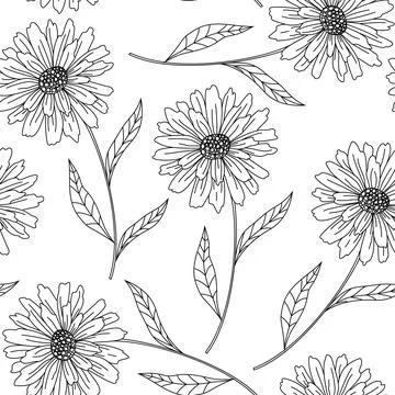 Seamless floral vector pattern with peonies, camomile or daisy. Hand drawn bl Stock Illustration
