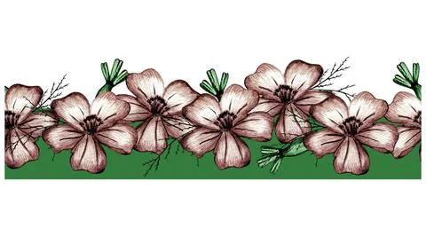 Seamless Flower Border Drawn by Colored Pencils. Stock Illustration