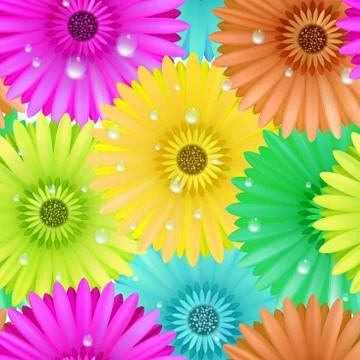 Seamless flower gerbera patter. Stock Illustration