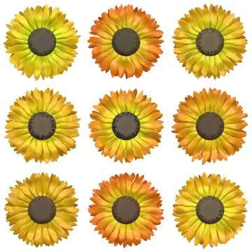 Seamless flower pattern  - set of several inflorescence Stock Illustration