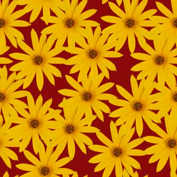 Seamless flowers pattern. Bright yellow or orange flowers on a red background Stock Photos
