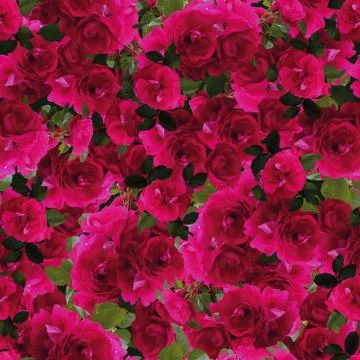 Seamless flowers pattern texture Stock Photos