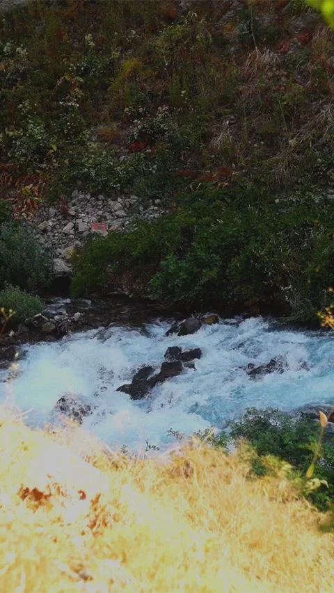 Seamless footage of the flow of a mountain river with a turbulent flow of w.. Stock Footage 280904379