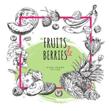 Seamless frame with space for text and illustrations of fruits and berries on a Stock Illustration