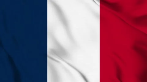 Seamless Franc flag waving in the wind, detailed realistice fabric pattern .. Stock Footage 307089251