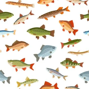 Seamless freshwater fish pattern. A vector seafood Stock Illustration